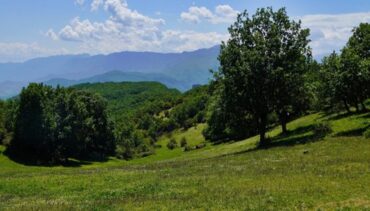 Υποδεχόμαστε τον Μάη στην Τζέρτζη