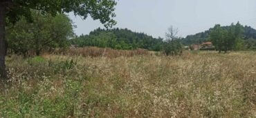 Τρίκκη: Στον Ντάνιελ βούρκος στον καύσωνα...σπίρτο! (ΦΩΤΟ)