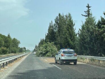 Φωτιά και πεσμένα δέντρα στην Ε.Ο. Τρικάλων - Καλαμπάκας στο ύψος της Βασιλικής (ΦΩΤΟ)