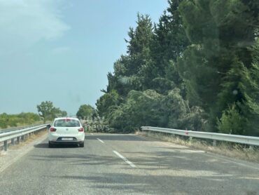 Πτώσεις δέντρων σε περιοχές των Τρικάλων (ΦΩΤΟ)