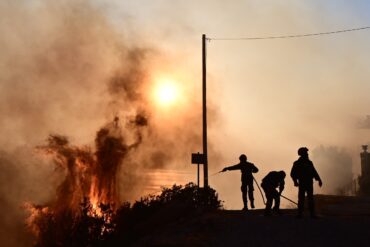 Φωτιά έκαψε 60 στρέμματα στα Τρίκαλα