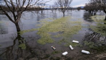 Ελεγχόμενο το πρόβλημα με τα κουνούπια στην Κάρλα