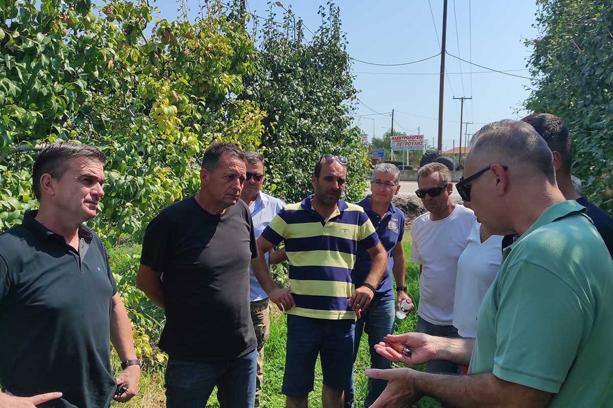 Στα χαλαζόπληκτα της Αγιάς κλιμάκιο της Περιφέρειας και του ΕΛΓΑ