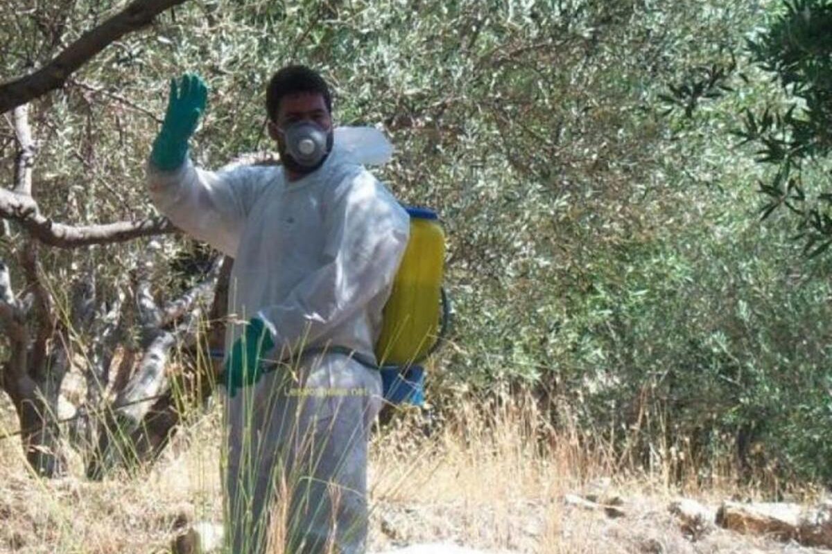 Περιφέρεια Θεσσαλίας: Διενέργεια γενικού δολωματικού ψεκασμού στους Δήμους Τεμπών και Ελασσόνας