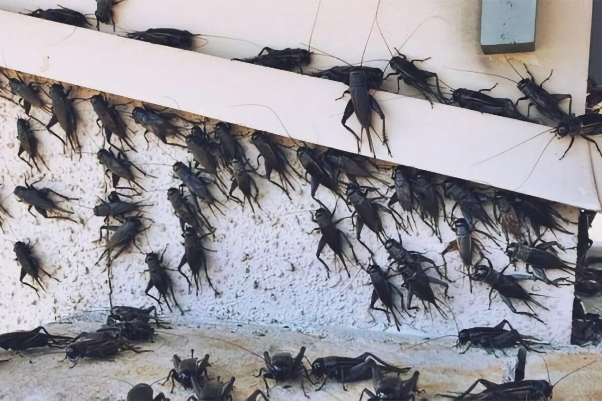 Απολαμβάνει διακοπές χωρίς …έντομα ο Ηλίας Βλαχογιάννης