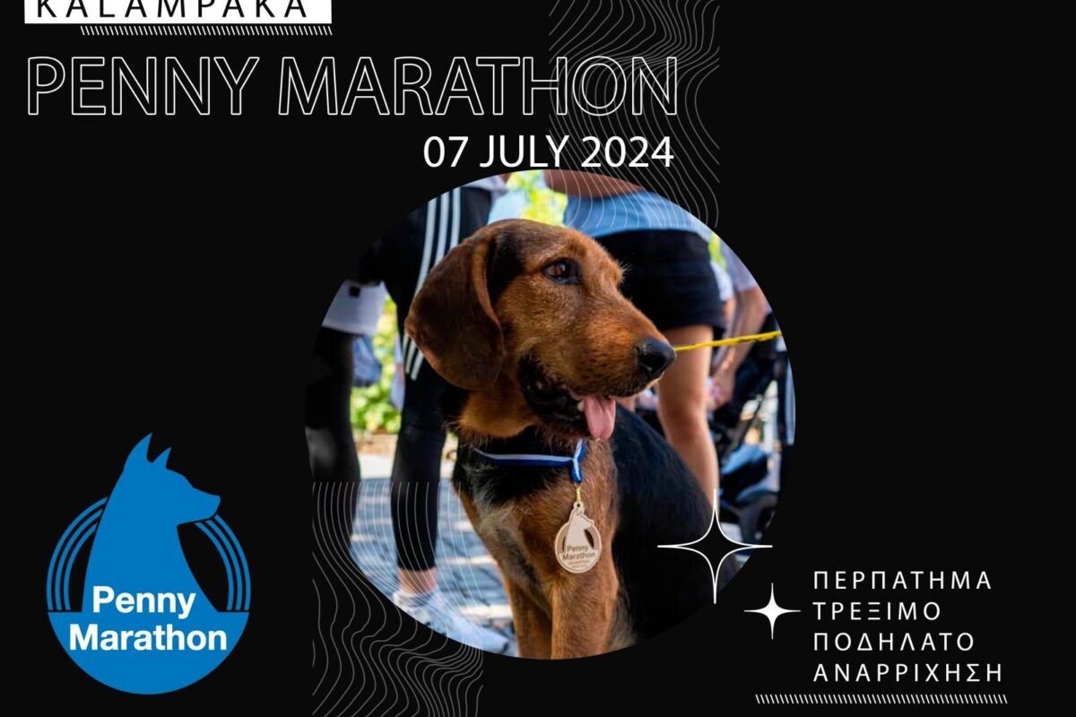 Την Κυριακή το 3o Penny Marathon στην Καλαμπάκα – Δηλώστε συμμετοχή