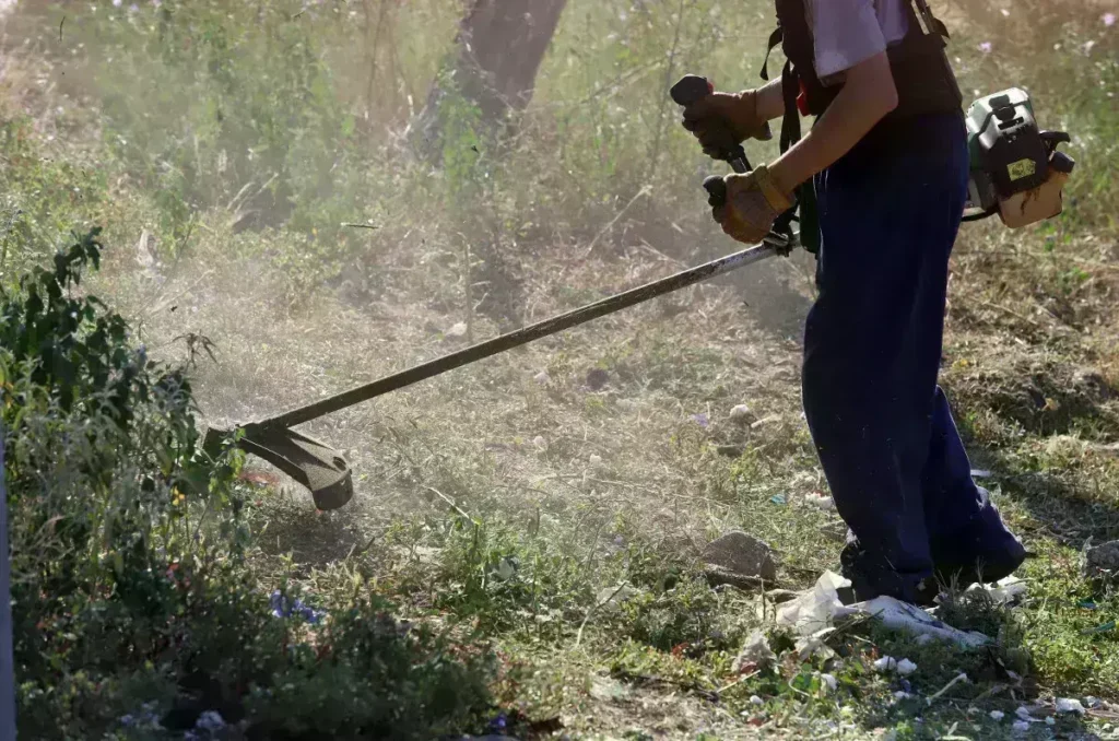 Υποβολή δήλωσης για ακαθάριστα οικόπεδα: Εξαιρέσεις και προθεσμίες