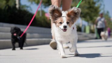Την Κυριακή το 3o Penny Marathon στην Καλαμπάκα