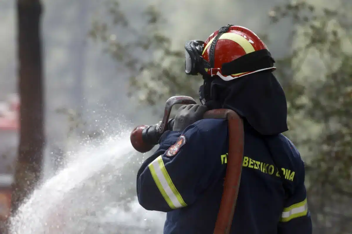 Διαθέσιμη η ψηφιακή πλατφόρμα MyPyrasfaleiaLive για ραντεβού και εξ' αποστάσεως εξυπηρέτηση