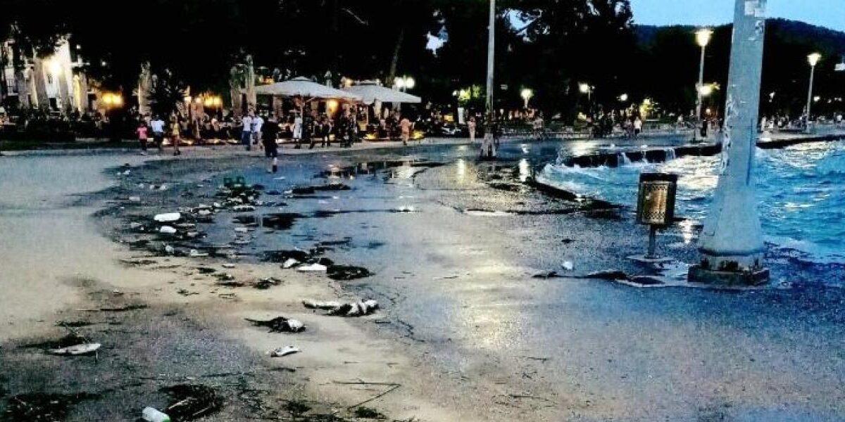 Βόλος: Σε απόγνωση οι επαγγελματίες από τα νεκρά ψάρια και τις αιφνίδιες ελέγχους της εφορίας