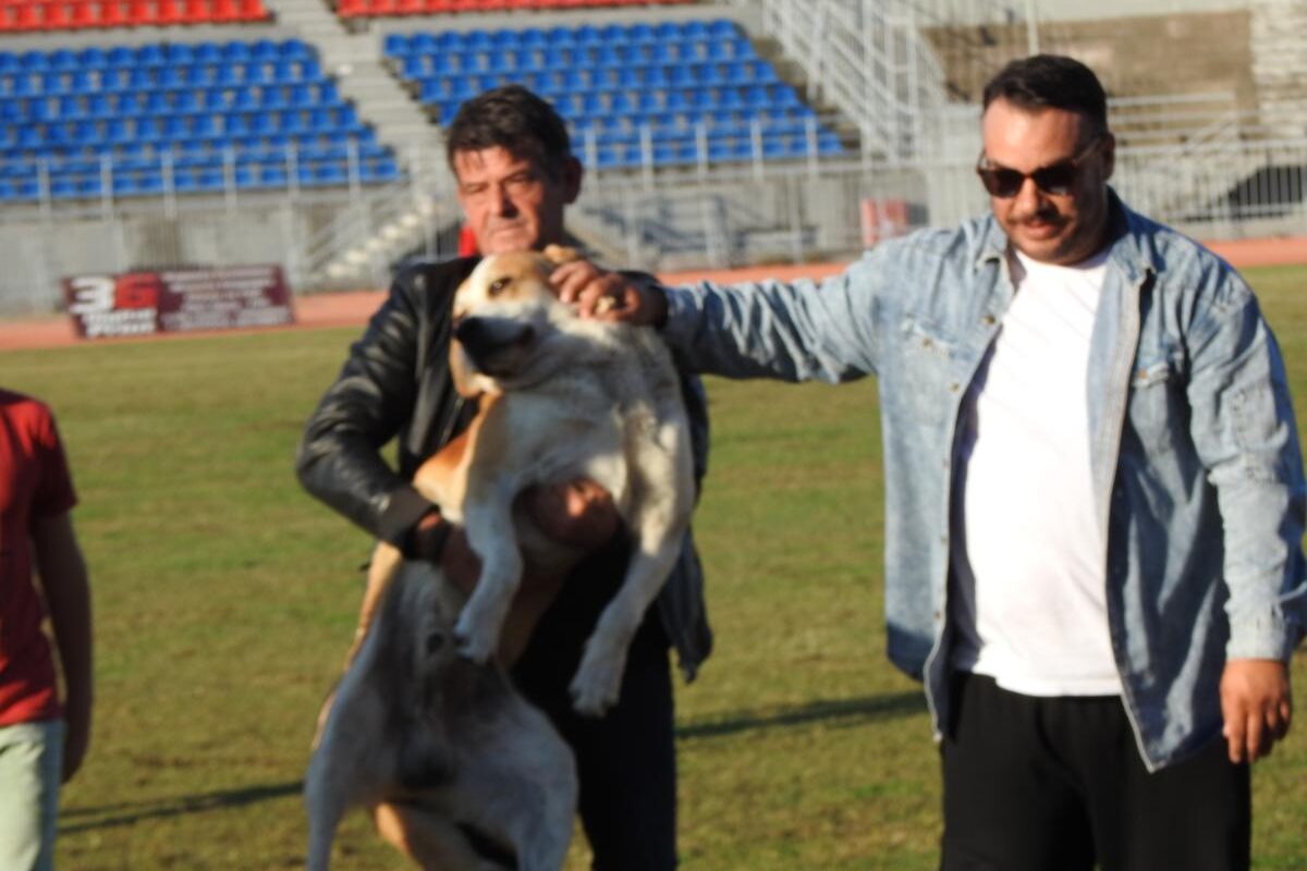 Είπε να βοηθήσει κι έφυγε σηκωτός