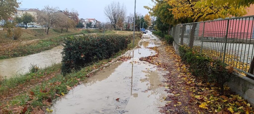 Ο Ληθαίος απέκτησε… απόγονο κοντά στο 2ο Δημοτικό Τρικάλων