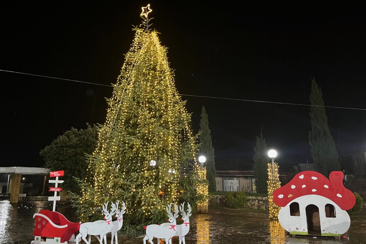 Με επιτυχία και πλήθος κόσμου φωταγωγήθηκε το χριστουγεννιάτικο δέντρο στο Μουζάκι