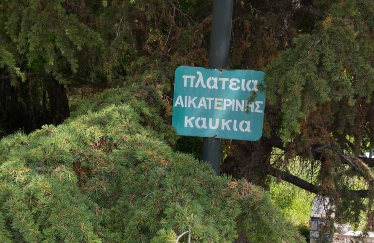Τρικαλινή ζούγκλα: Τα χόρτα πνίγουν δρόμους και πολίτες