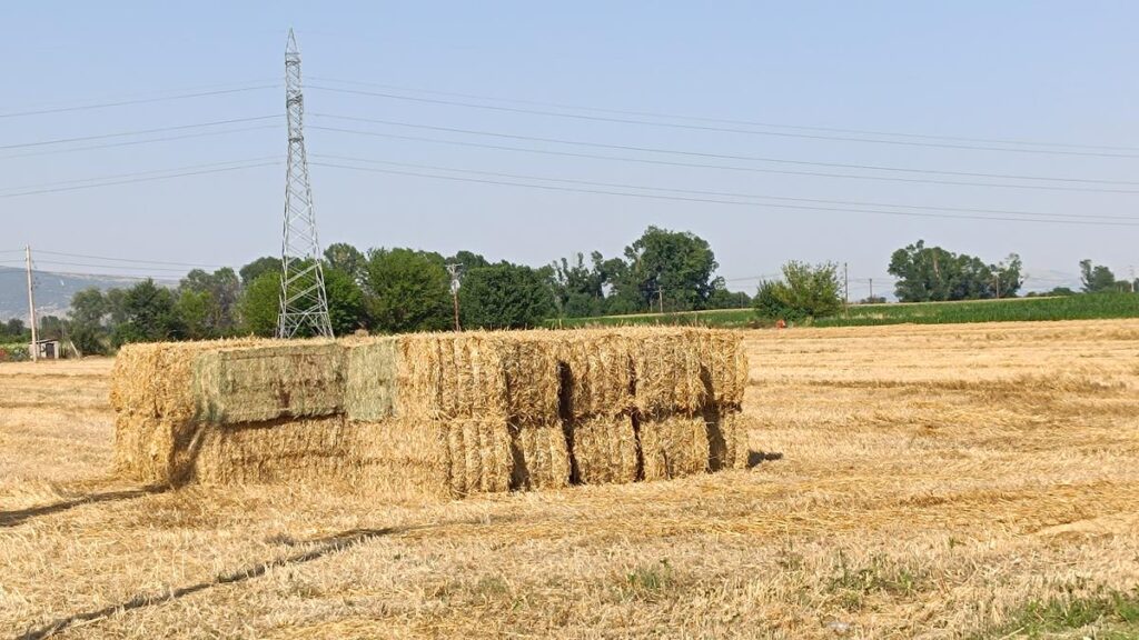 Λίγη υπομονή ακόμα και η καλαμιά θα γίνει γήπεδο
