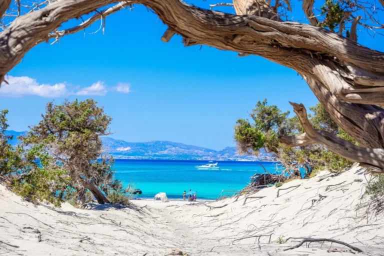 Προειδοποίηση Τσελέντη για μετασεισμούς και προληπτικά μέτρα στις παραλίες μετά τον σεισμό στο Λασίθι