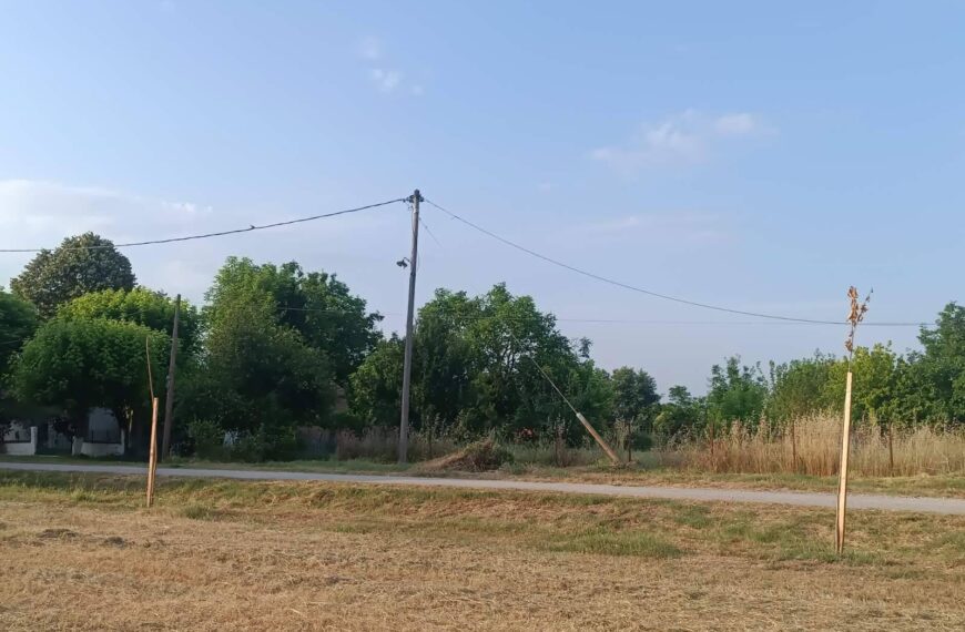 Κατεστραμμένα δέντρα από βανδαλισμό στον χώρο δενδροφύτευσης "Νεροφτυλιά" στο Δεντροχώρι Τρικάλων