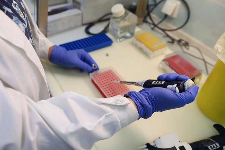 Ευλογιά αιγοπροβάτων: Ικανοποίηση Κουρέτα για τους μοριακούς ελέγχους