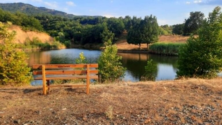 Μουσική βραδιά στη Λίμνη Σκεπαρίου