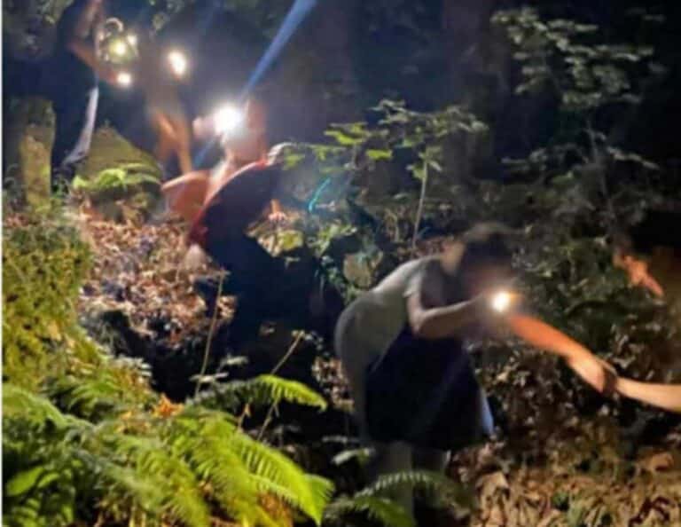 Κάτοικοι και διασώστες με φακούς αναζητούν αγνοούμενους στα βουνά της Καλογριανής Τρικάλων