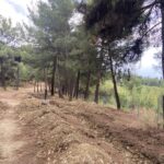 Τρίκαλα: Απαγορεύεται η είσοδος στα δάση το Σάββατο
