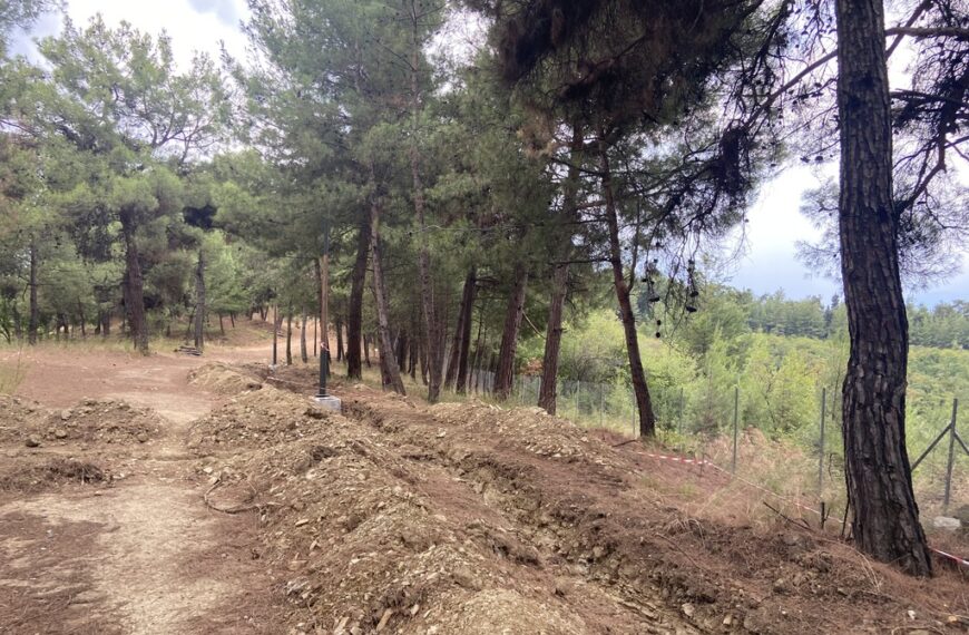 Εργασίες καθαρισμού και φροντίδας σε άλσος, με παρέμβαση του Δήμου.