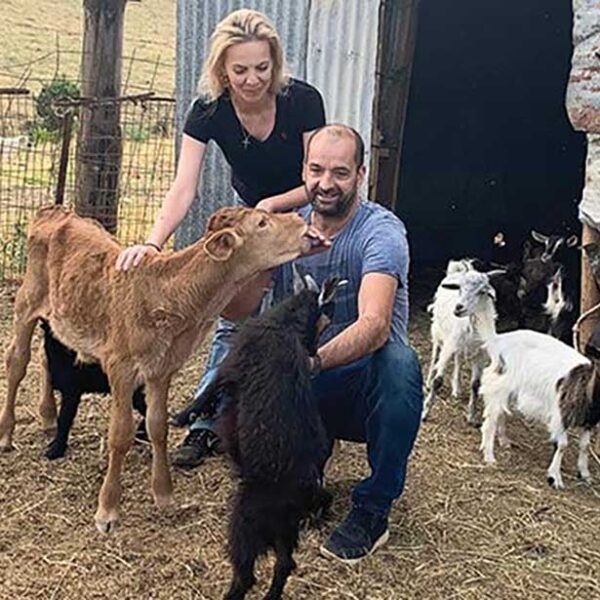 ΟΠΕΚΕΠΕ: Ο Χρήστος Μαγειρίας απαντά για την επιδότηση 1,4 εκατ. ευρώ στα ζώα του
