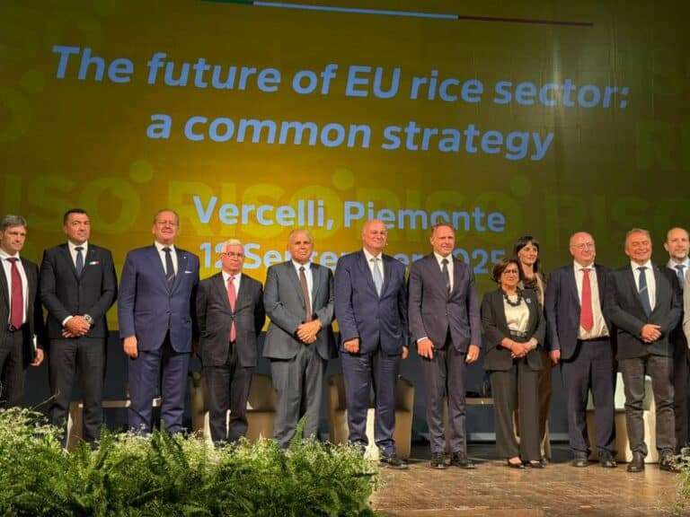 Κώστας Τσιάρας: Το ευρωπαϊκό ρύζι οικολογικός θησαυρός και εμπορική ευκαιρία