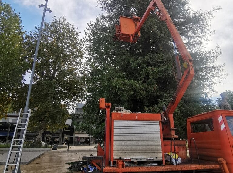 Φωτίζεται το υψηλότερο φυσικό χριστουγεννιάτικο δέντρο της χώρας στα Τρίκαλα