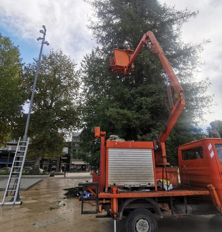 Φωτίζεται το υψηλότερο φυσικό χριστουγεννιάτικο δέντρο της χώρας στα Τρίκαλα
