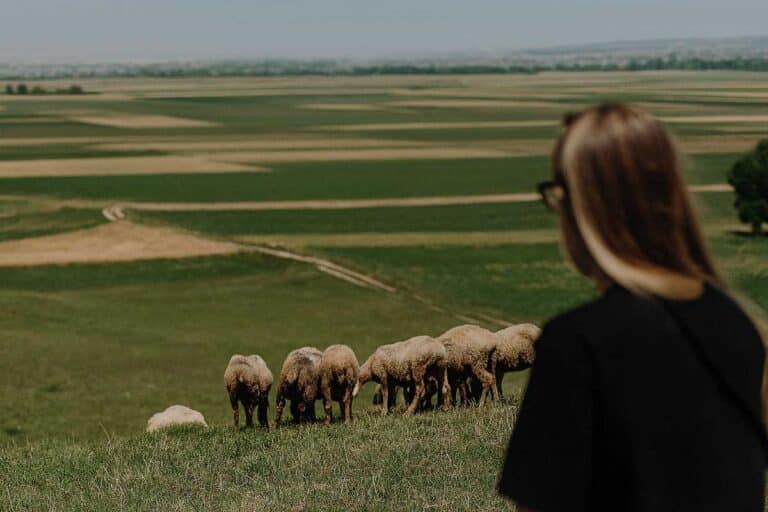 Σύλληψη στη Λάρισα: 33 κατσίκια έφεραν μπλεξίματα σε κτηνοτρόφο