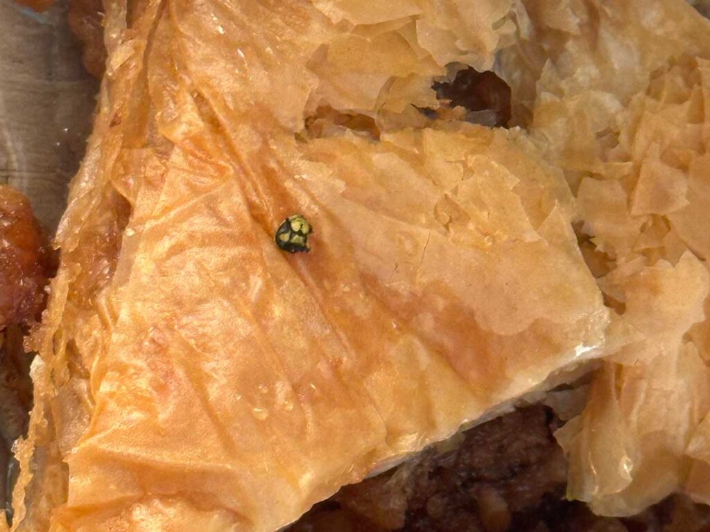 Κεφάλι σφήκας μέσα σε σιροπιαστό γλυκό στα Τρίκαλα