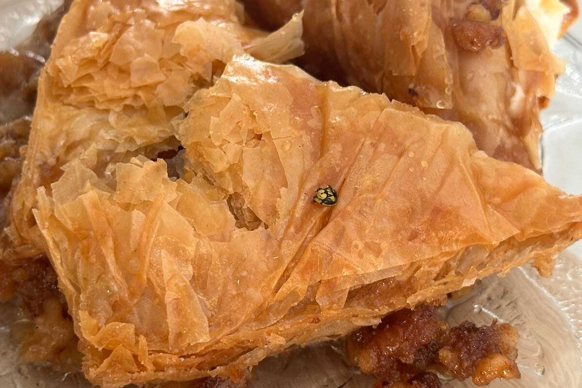 Γιαγιά, δεν το τρώω… έχει σφήκα μέσα!