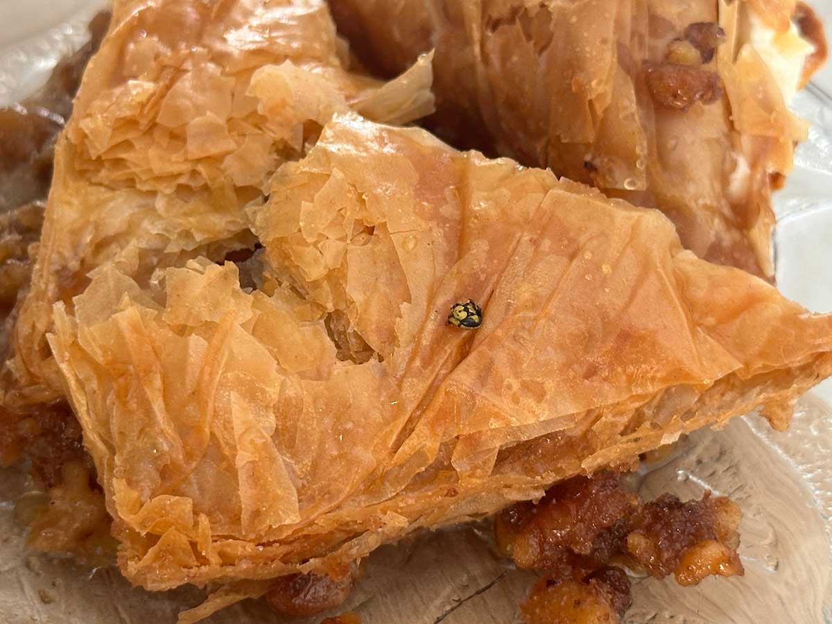 Γιαγιά, δεν το τρώω… έχει σφήκα μέσα!