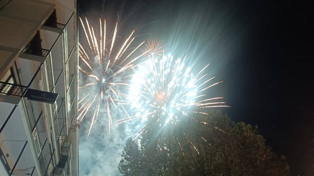 Τρίκαλα: Φωταγωγήθηκε το ψηλότερο φυσικό χριστουγεννιάτικο δέντρο