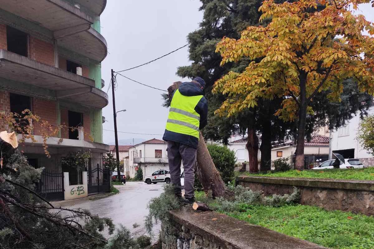 Κόπηκαν επικίνδυνα δέντρα στην πλατεία Μητέρας στα Μετέωρα