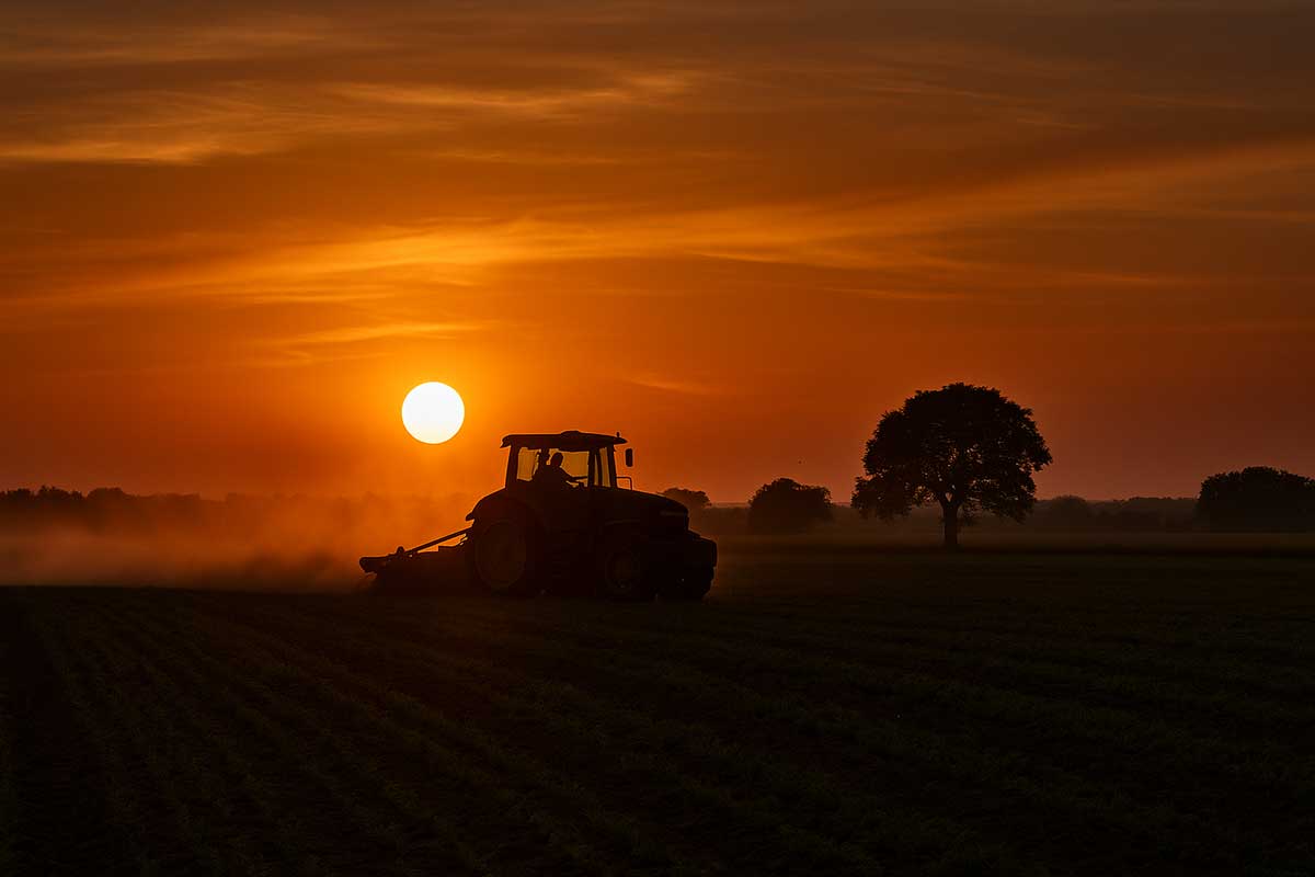 Τρίκαλα ξανά στο επίκεντρο του σκανδάλου ΟΠΕΚΕΠΕ – Τα δημοσιεύματα «δείχνουν» Σκρέκα και Τσιάρα