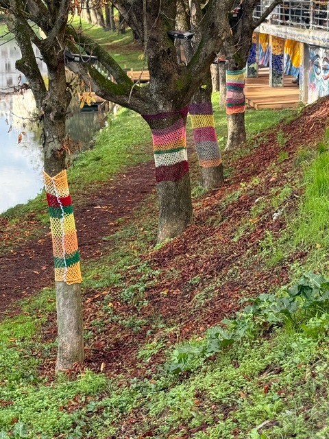 Πλεκτά δέντρα στον Ληθαίο: Χρώμα και γιορτινή ζεστασιά από το ΚΔΑΠ «Ομόνοια»