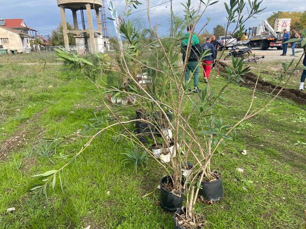 Τρίκαλα: Φυτεύτηκαν 70 νέα δέντρα στη Μεγάρχη