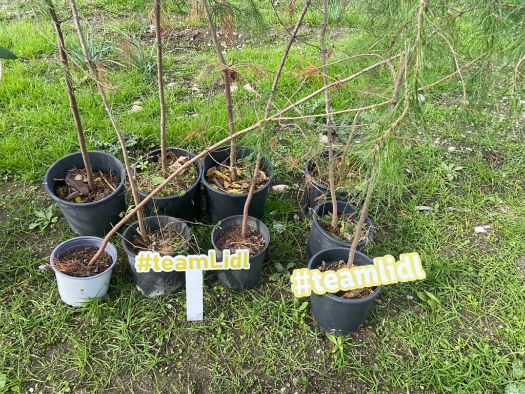 Τρίκαλα: Φυτεύτηκαν 70 νέα δέντρα στη Μεγάρχη