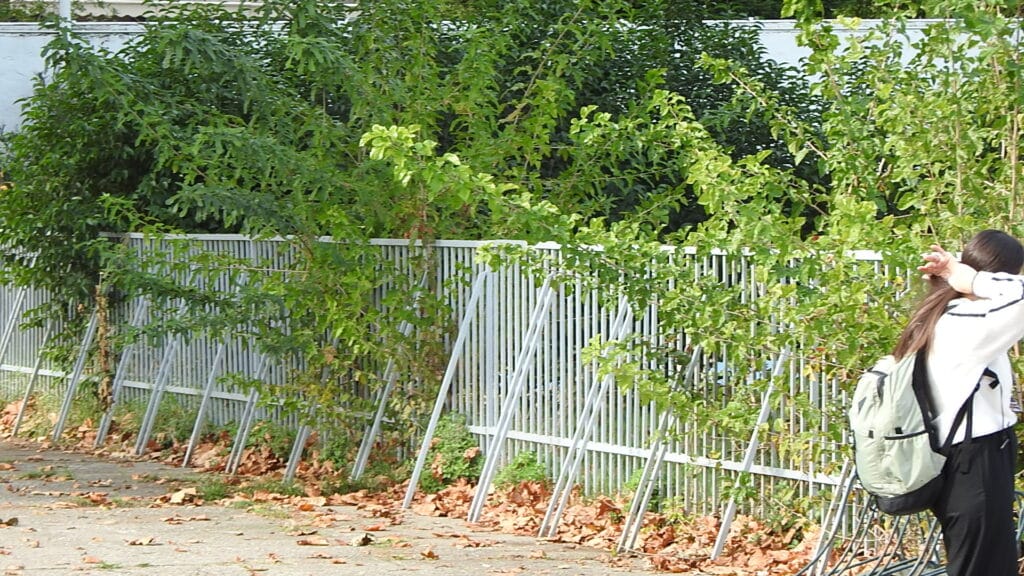 Απαράδεκτες εικόνες στο στάδιο – Θέματα ασφάλειας