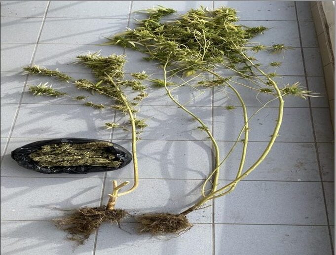 Σύλληψη γνωστού επιχειρηματία στα Τρίκαλα για υπόθεση ναρκωτικών