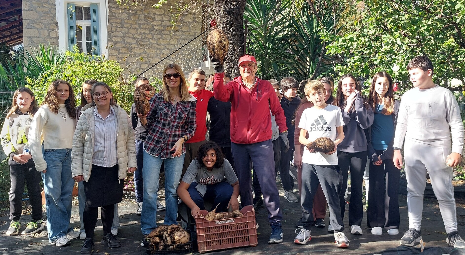 Μαθητές «εξορύσσουν» γλυκοπατάτες στον σχολικό κήπο