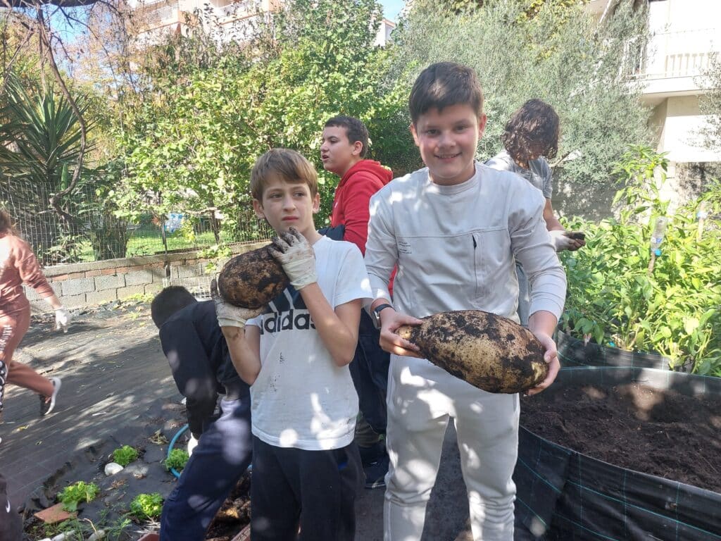 Μαθητές «εξορύσσουν» γλυκοπατάτες στον σχολικό κήπο