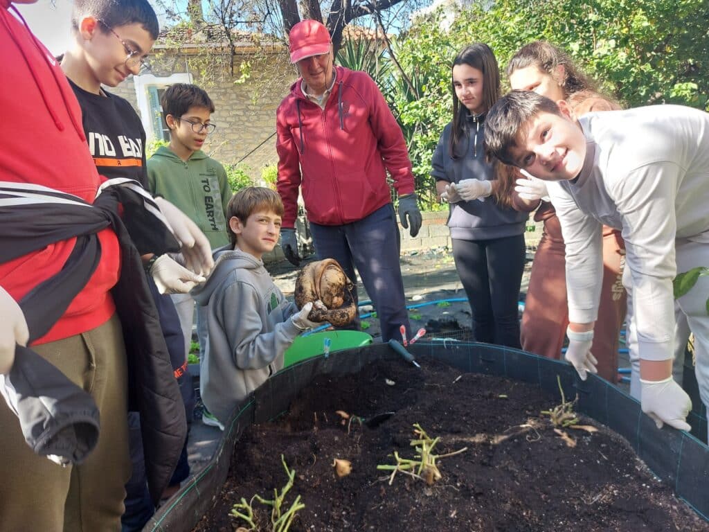 Μαθητές «εξορύσσουν» γλυκοπατάτες στον σχολικό κήπο