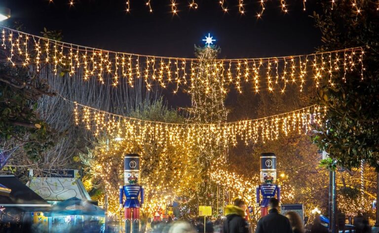 Fake καταχωρήσεις σε Τρίκαλα–Καλαμπάκα: Τι προειδοποιεί ειδικός