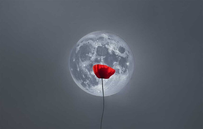 Έκθεση φωτογραφίας «Σταγόνες Μελάνι σε Βαμβάκι» στα Τρίκαλα