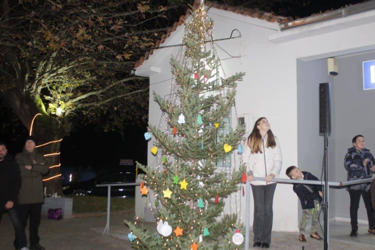 Φωταγωγήθηκε το Χριστουγεννιάτικο Δένδρο στη Λυγαριά