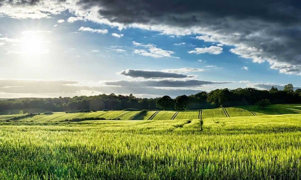 ΟΠΕΚΕΠΕ: Τι ισχύει για αγροτεμάχια χωρίς ΚΑΕΚ και Μέτρο 23