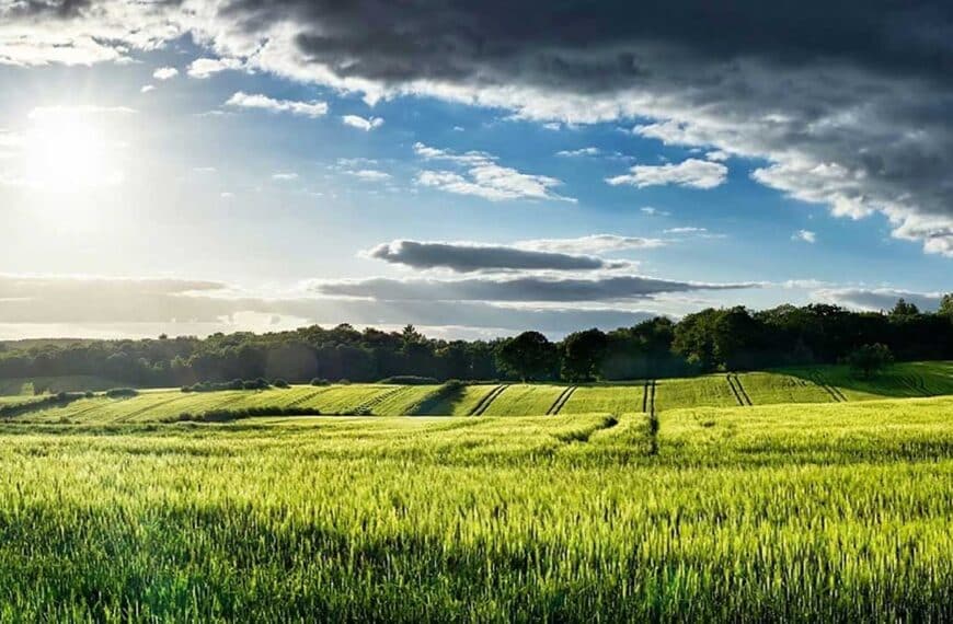 ΟΠΕΚΕΠΕ: Τι ισχύει για αγροτεμάχια χωρίς ΚΑΕΚ και Μέτρο 23